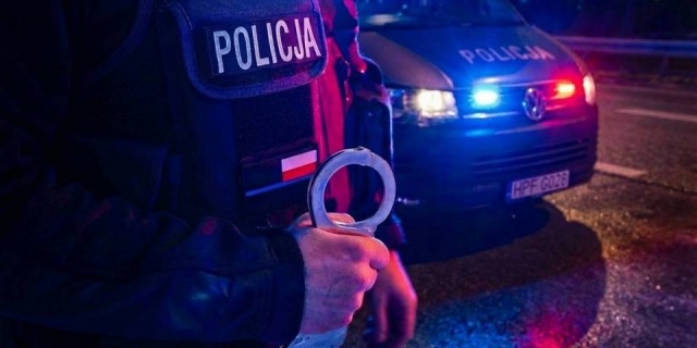 Wyrzucił kocięta w plastikowych workach do śmietnika. Cztery nie przeżyły. Za zlecenie wziął 50 zł [Wideo]