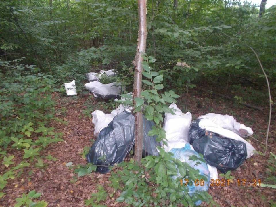 Kolejny leśny śmieciarz ukarany przez Straż Miejską. Wyrzucił kilkanaście worków ze styropianem