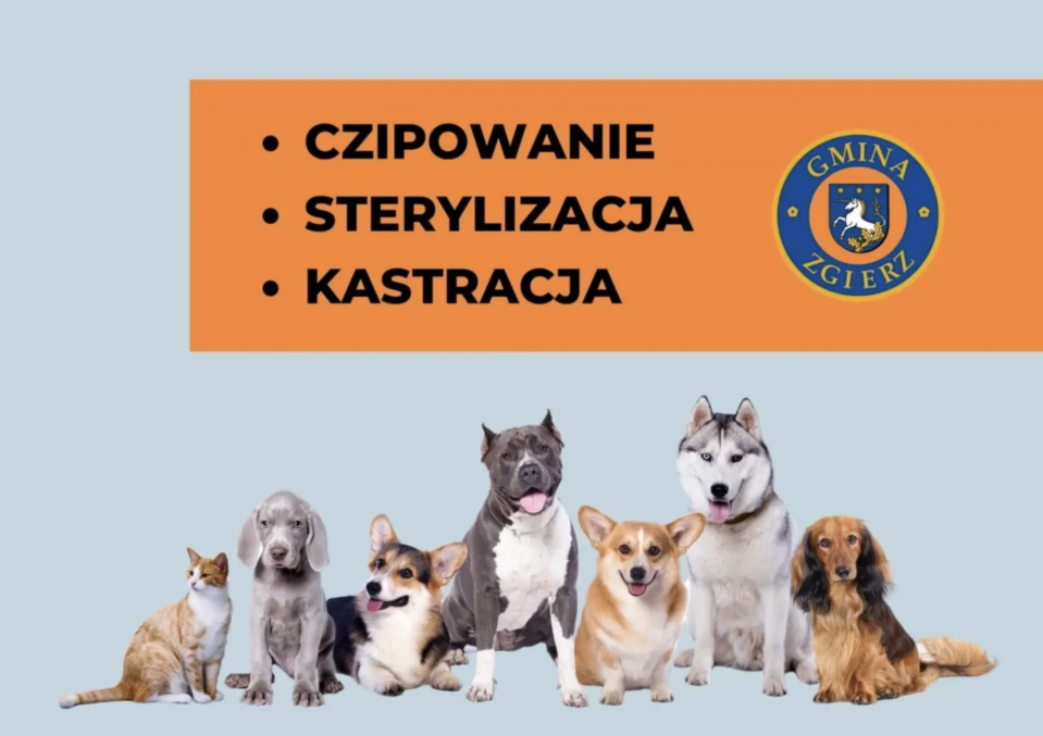 Zrzut-ekranu-2023-07-6-o-11.56.55