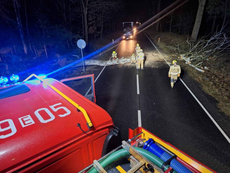 Blisko 150 interwencji straży pożarnej w Łódzkiem! Za nami wyjątkowo wietrzna i niespokojna noc, ale na szczęście dość bezpieczna