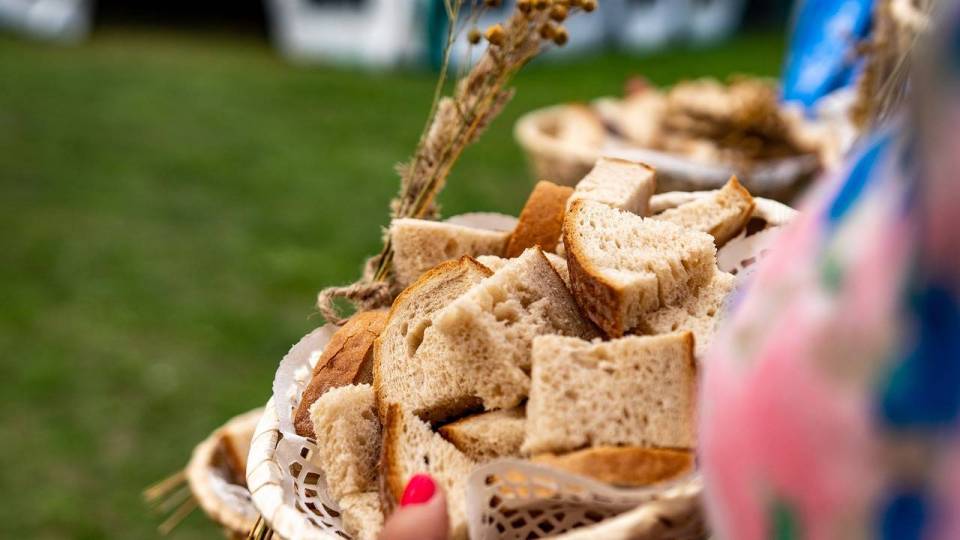 Mieszkańcy gminy Stryków podziękują za tegoroczne plony. Poznaliśmy szczegóły Dożynek